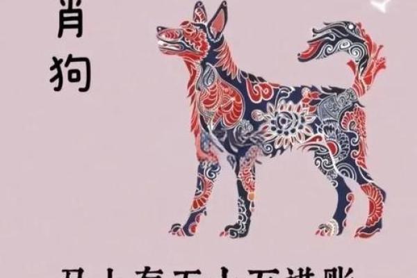 1970年属狗人2025年运势_70年的属狗人在2025年的运势如何