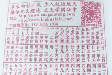 2025属蛇的女性大忌 2025年农历正月生肖蛇女三大禁忌全解析