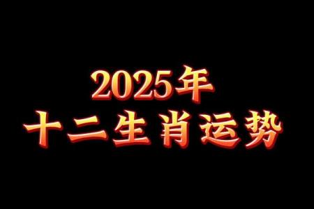 2025年属龙的运势 2025年属龙的运势如何