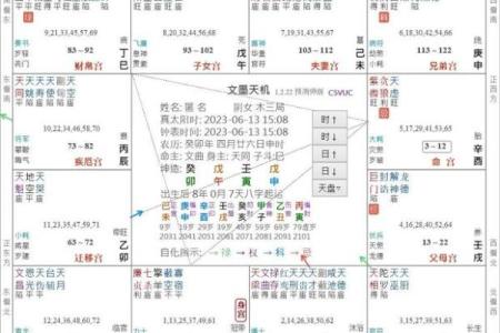 夫妻宫天同巨门 夫妻宫天同巨门解析婚姻运势与感情走向揭秘