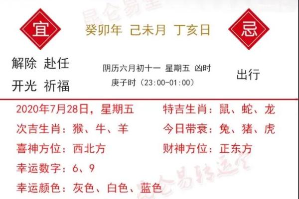 2025年兔年运势详解财运事业爱情全解析 2025年兔年运势详解财运事业爱情全解析