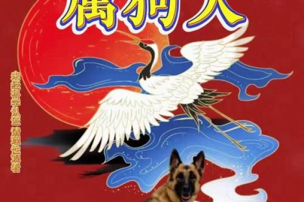 兔死狗烹是什么生肖(兔死狗烹猜生肖)