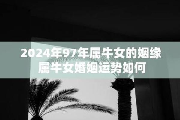 1997年属牛最佳结婚年份解析姻缘何时到来