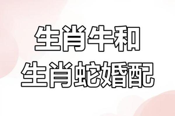 1997年属牛最佳结婚年份解析姻缘何时到来