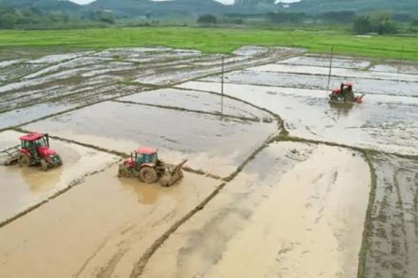 正月适合动土吗(正月不可以动土吗) 正月适合动土吗(正月不可以动土吗)
