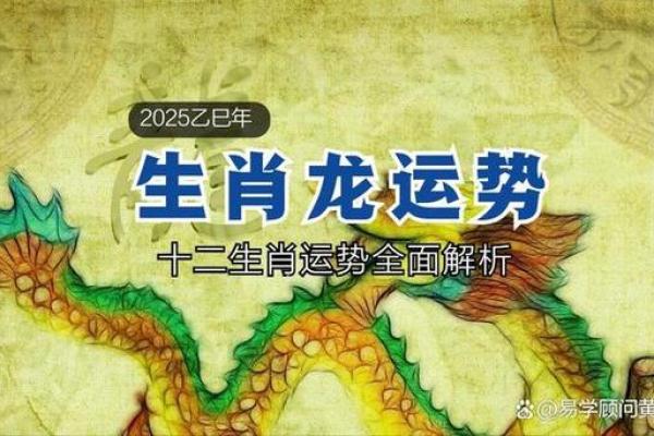 属龙人2025年全年运势详解_属龙人2025全年运势逐月详解运程走势完整解析 属龙人2025年全年运势详解_属龙人2025全年运势逐月详解运程走势完整解析