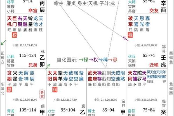 地空在夫妻宫解析婚姻运势与情感影响