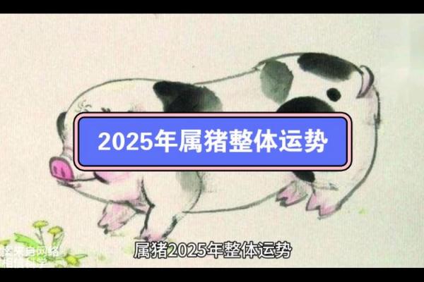 2025年属猪的人_2025年属猪的人要注意什么 2025年属猪的人_2025年属猪的人要注意什么