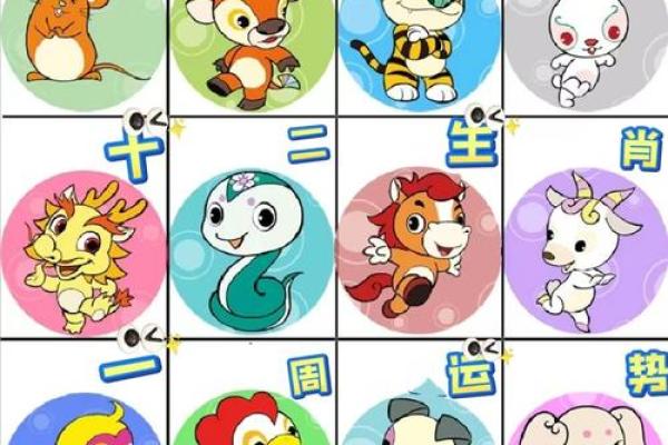 三心二意打一正确生肖(三心二意打一正确生肖是什么)