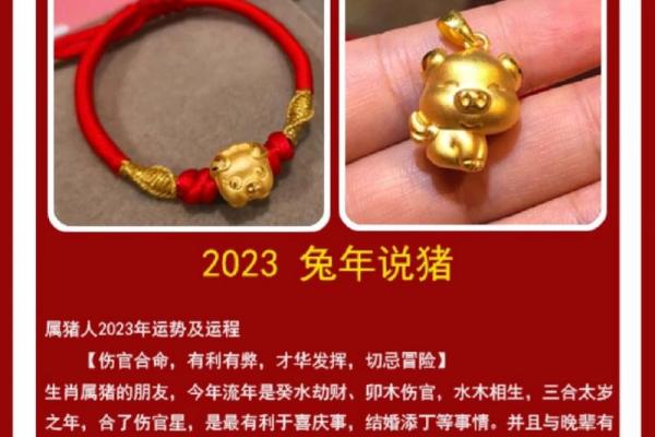 2023年属猪人的全年运势_2023年属猪人的全年运势1983出生