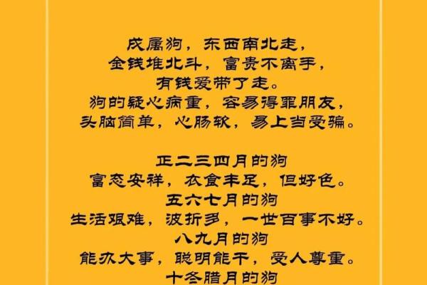 1970年属狗今年运势_70年女狗晚年靠谁养老