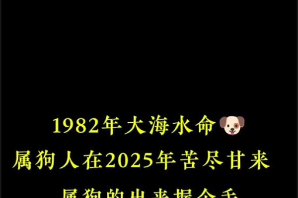 1994属狗男2025年的运势和婚姻_1994属狗男2025年运势与婚姻解析