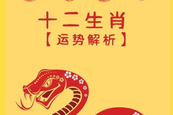 2025属龙的今年多大 属蛇的2025年几岁 2025属龙的今年多大 属蛇的2025年几岁