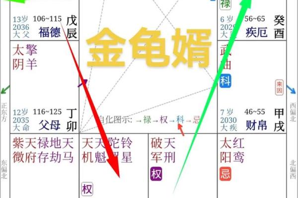 夫妻宫自化科_夫妻宫自化科要谈很久