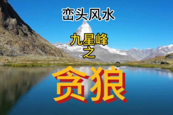 福德宫贪狼化忌_福德宫贪狼化忌是什么意思