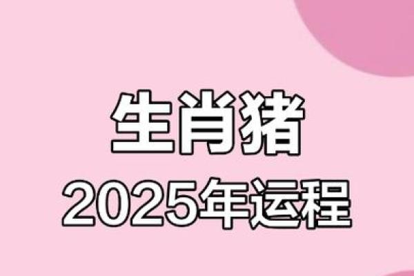 1971属猪女2025年 1971属猪女2025年每月的运气 1971属猪女2025年 1971属猪女2025年每月的运气