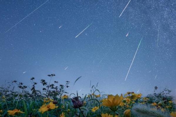 2019年极大流星雨
