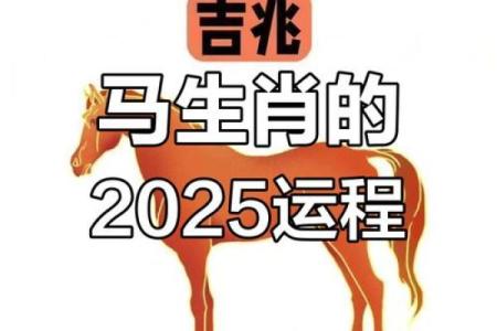 1990年属马人2025年运势解析运势如何注意事项全揭晓