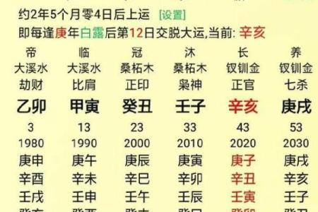 八字中的十大贵命命格 八字揭秘十大贵命命格解析与运势指南