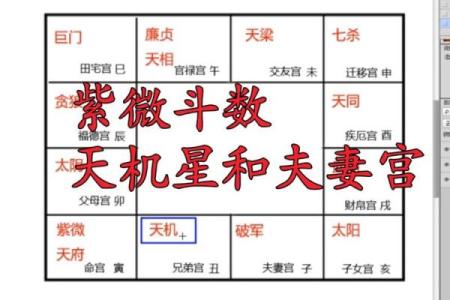 地空在夫妻宫解析婚姻运势与情感影响