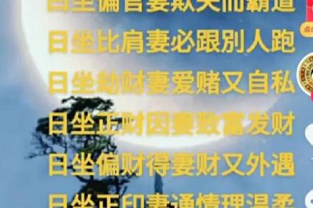 夫妻宫坐偏印 夫妻宫坐偏印男命