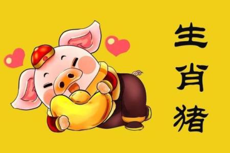 71年属猪今日打牌运势解析财运亨通还是需谨慎