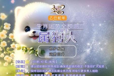 82年2025年属狗人的全年运势_2025属狗要小心一个人