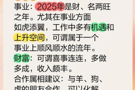 2025年属马2002年出生的运势 2025年属马的全年运势怎么样