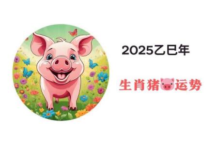 2025年属猪的运势及运程 属猪运势2025年运势详解1983出生
