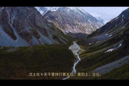 戊己日不可以动土