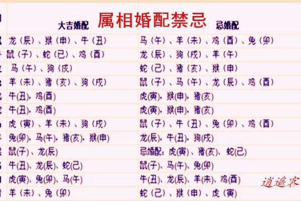 99年属兔女孩子婚配表_99年属兔女孩婚配表最佳生肖配对指南