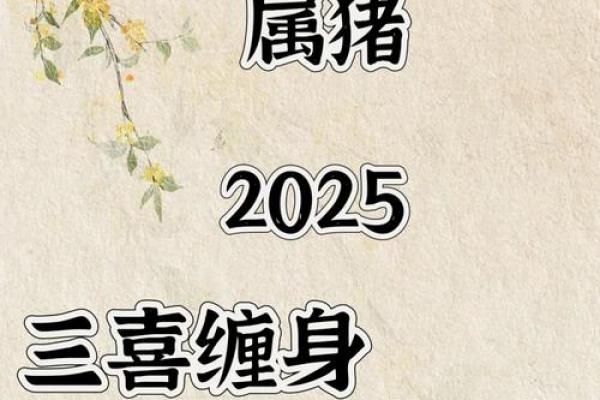 1983年属猪人2025年运势及运程_属猪运势2025年运势详解1983出生 1983年属猪人2025年运势及运程_属猪运势2025年运势详解1983出生