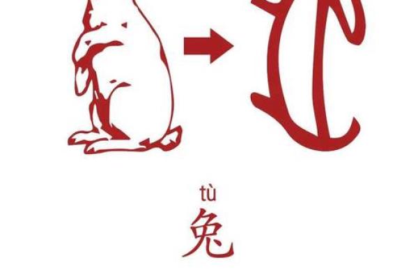 骨瘦如柴指什么生肖(骨瘦如柴的生肖指的是哪一只) 骨瘦如柴指什么生肖(骨瘦如柴的生肖指的是哪一只)