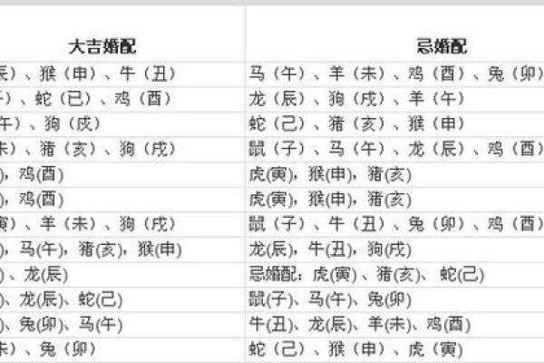属狗的最佳婚配属相表揭秘幸福婚姻的生肖密码