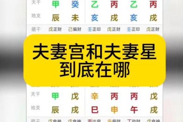 夫妻宫位置图解精准定位与详细解析