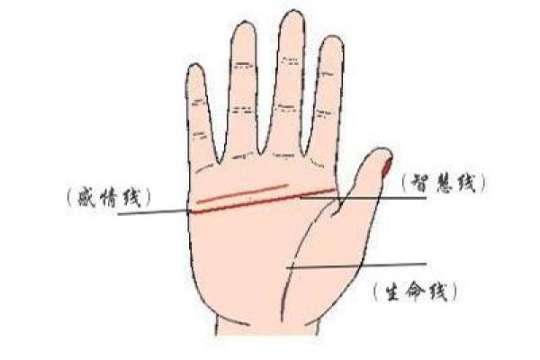 女人断掌真的会二婚吗_断掌的女人会有几个孩子