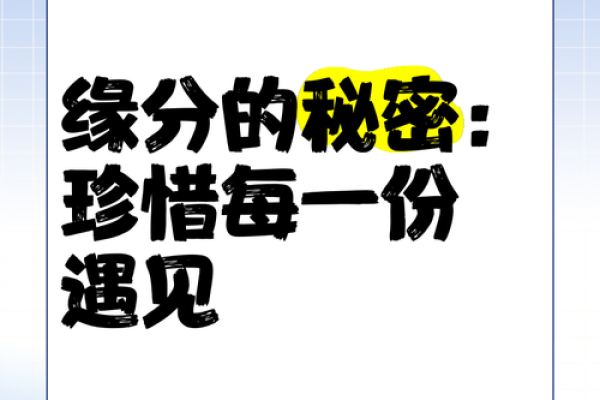 何为缘分 何为缘分揭秘命运交织的奥秘