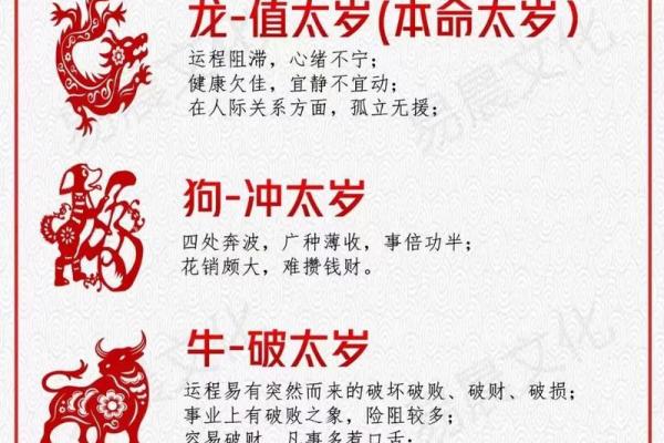 2025属猪犯太岁_2025属猪犯太岁是什么意思