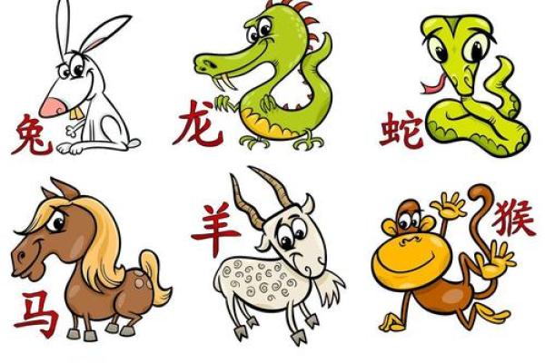 父母属马孩子属鼠 父母属马孩子属鼠怎么化解