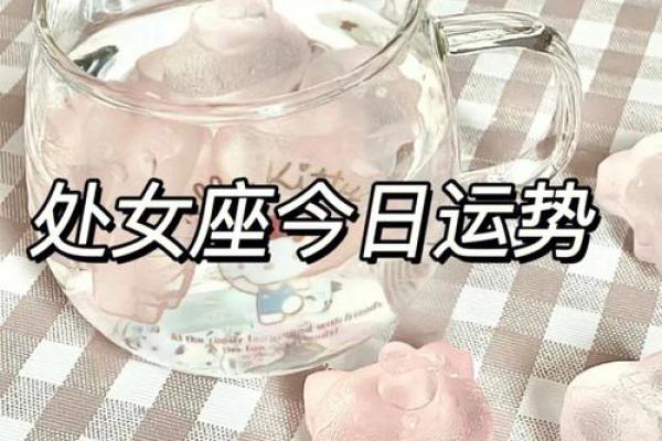 处女座每日运势星座运势服务 处女座每日运势精准星座运势服务指南