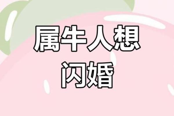 97年属牛女的姻缘在2025年_97年属牛女孩2021感情