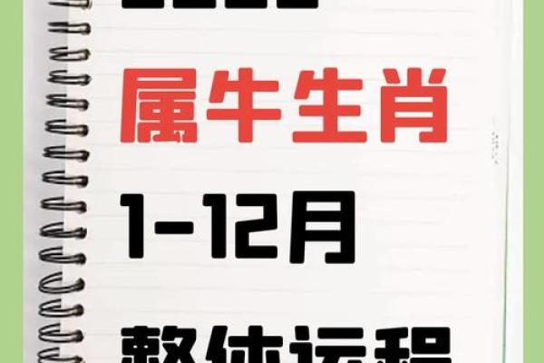 97年属牛女的姻缘在2025年_97年属牛女孩2021感情