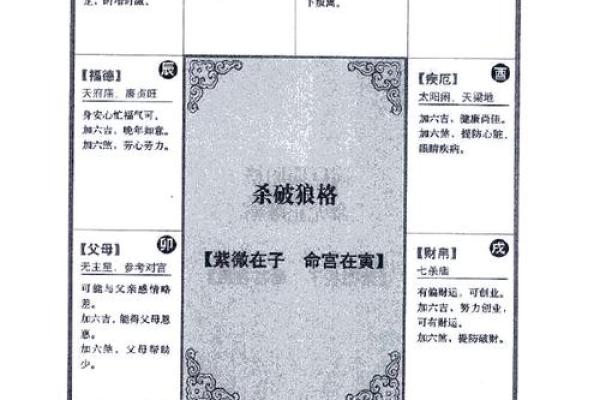 2025年3月2日寅时男命紫微斗数全解盘