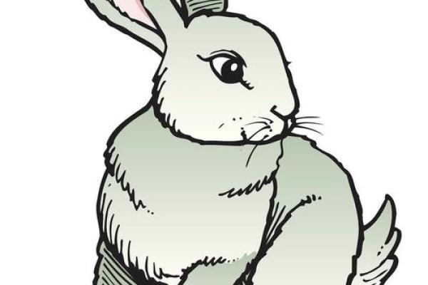 1999属兔的今年多大 1999年属兔今年多大了2021