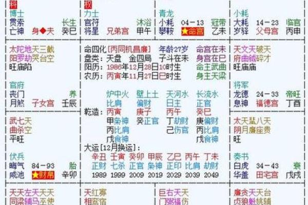 2025年3月1日丑时男命紫微斗数全解盘