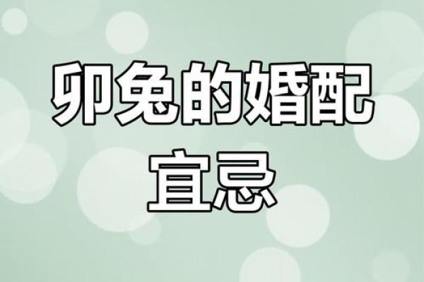 属兔的最佳配偶是谁 属兔的最佳配偶是谁揭秘生肖兔的完美婚配指南
