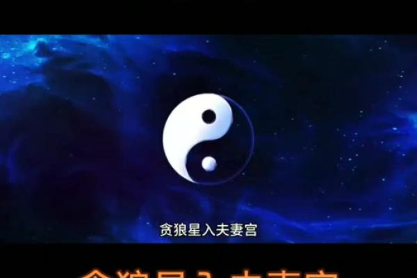 夫妻宫有紫微星的遗憾_夫妻宫有紫微星的有钱