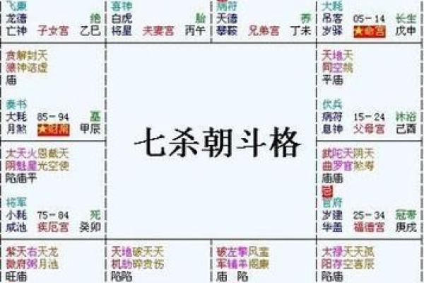 2025年3月25日丑时男命紫微斗数全解盘