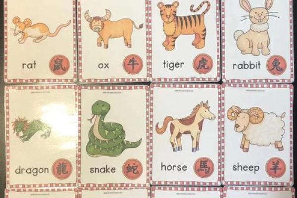 闪代表什么生肖(闪是指什么动物的生肖) 闪代表什么生肖(闪是指什么动物的生肖)