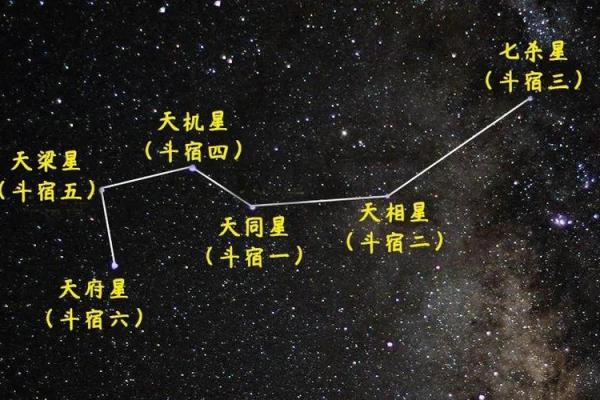 夫妻宫天相星 夫妻宫天相星解析婚姻运势与命理奥秘